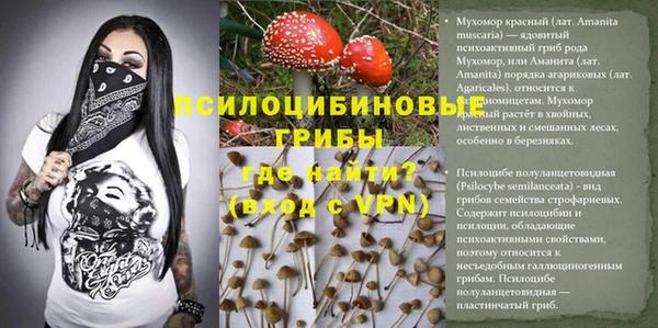 apvp Бородино