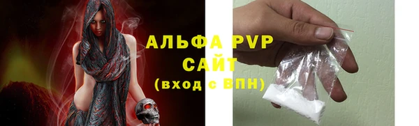ПСИЛОЦИБИНОВЫЕ ГРИБЫ Богданович