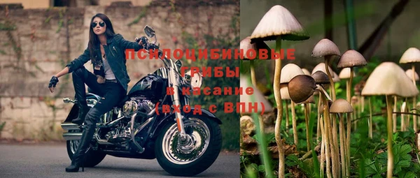не бодяженный Богородск