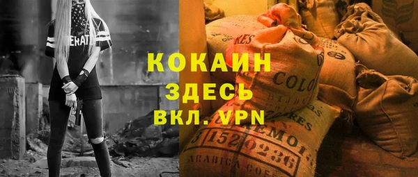 ПСИЛОЦИБИНОВЫЕ ГРИБЫ Богданович