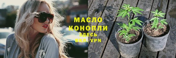 apvp Бородино