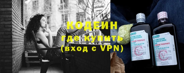 apvp Бородино
