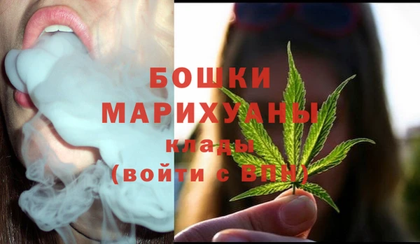 ПСИЛОЦИБИНОВЫЕ ГРИБЫ Богданович