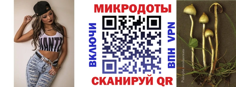 Галлюциногенные грибы Psilocybe  Купить где  Бородино 