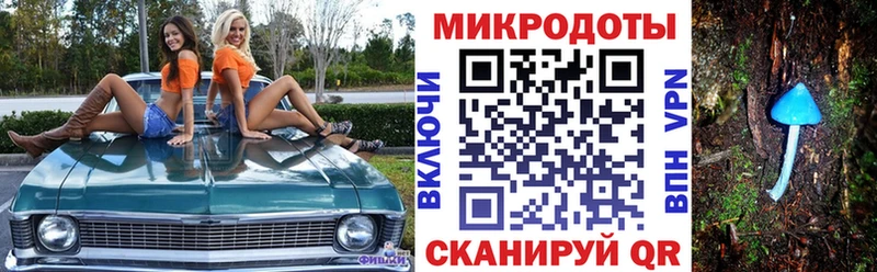 Псилоцибиновые грибы прущие грибы Бородино